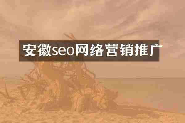 安徽seo网络营销推广