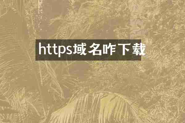 https域名咋下载
