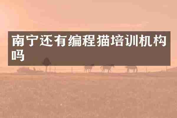 南宁还有编程猫培训机构吗