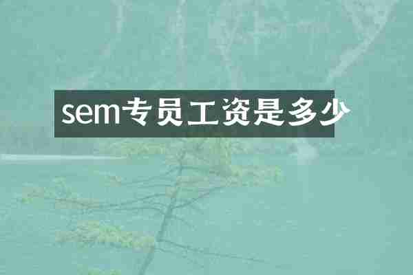 sem专员工资是多少