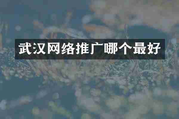 武汉网络推广哪个最好