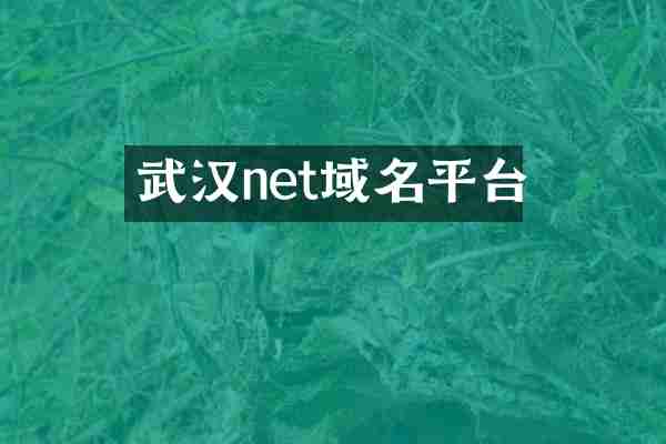 武汉net域名平台