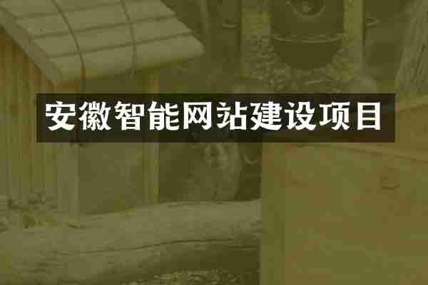 安徽智能网站建设项目