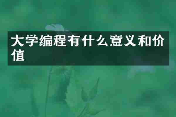 大学编程有什么意义和价值