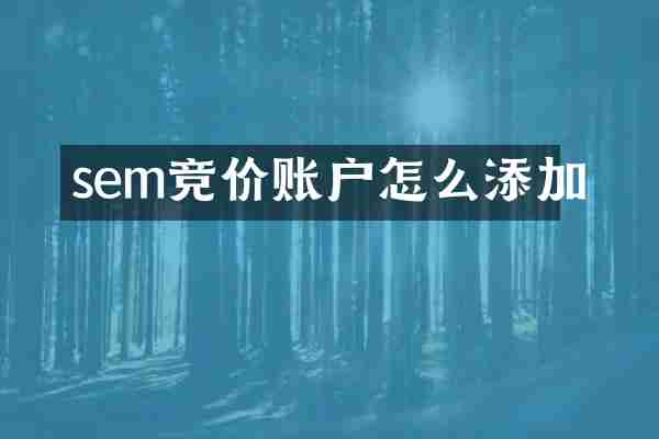 sem竞价账户怎么添加