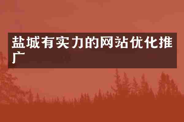 盐城有实力的网站优化推广
