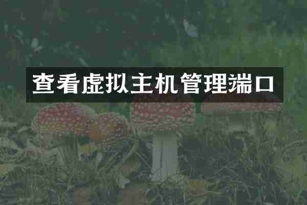 查看虚拟主机管理端口