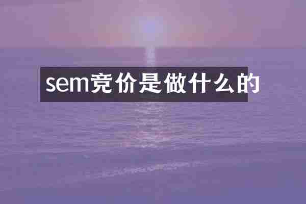 sem竞价是做什么的