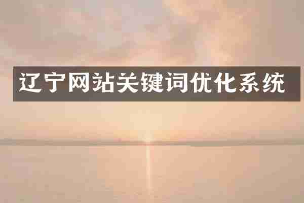 辽宁网站关键词优化系统