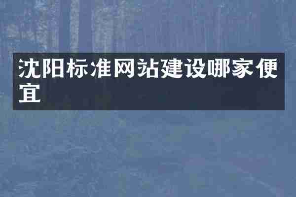 沈阳标准网站建设哪家便宜