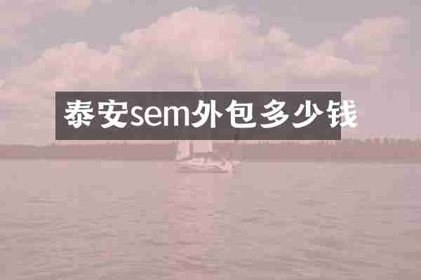 泰安sem外包多少钱