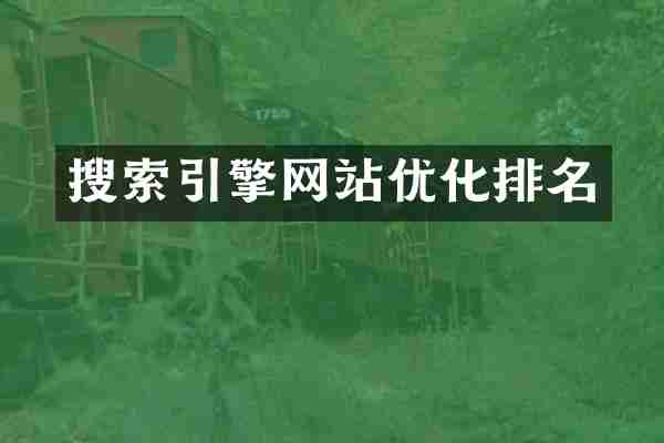 搜索引擎网站优化排名