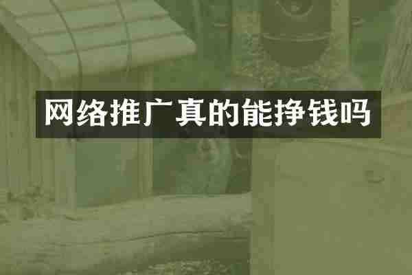 网络推广真的能挣钱吗