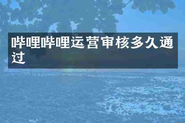 哔哩哔哩运营审核多久通过