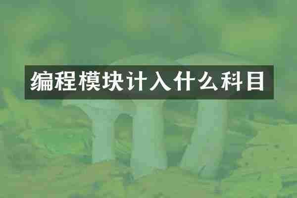 编程模块计入什么科目