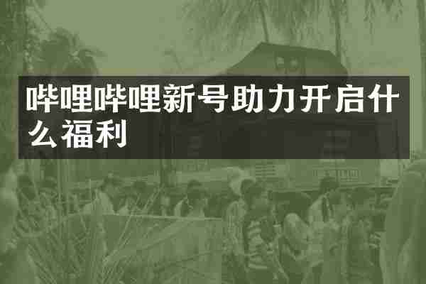 哔哩哔哩新号助力开启什么福利