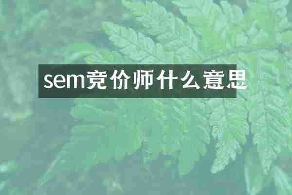 sem竞价师什么意思