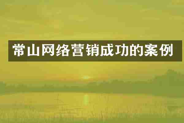 常山网络营销成功的案例