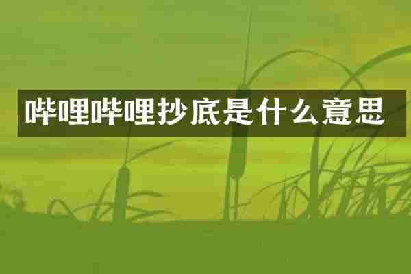 哔哩哔哩抄底是什么意思