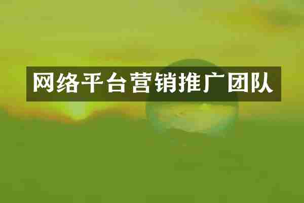 网络平台营销推广团队