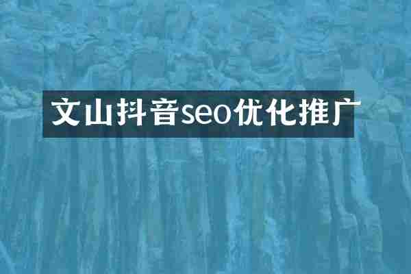 文山抖音seo优化推广