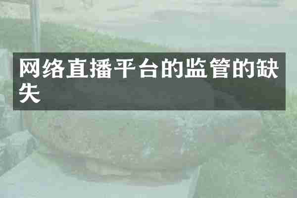 网络直播平台的监管的缺失