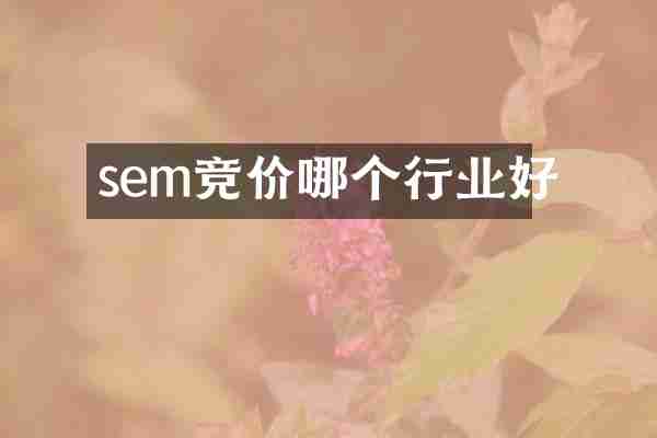 sem竞价哪个行业好