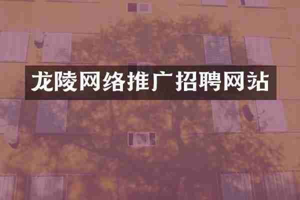 龙陵网络推广招聘网站
