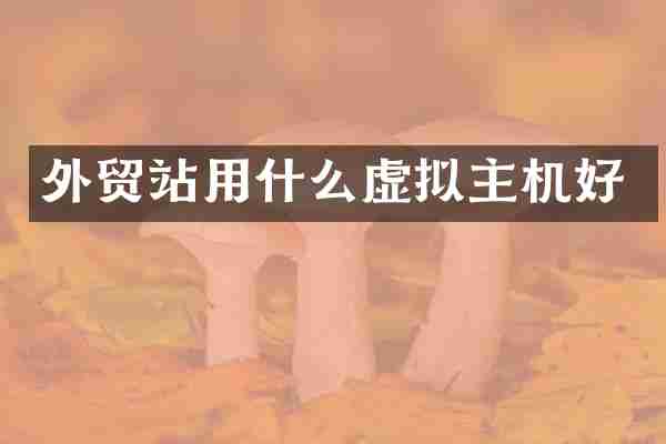 外贸站用什么虚拟主机好