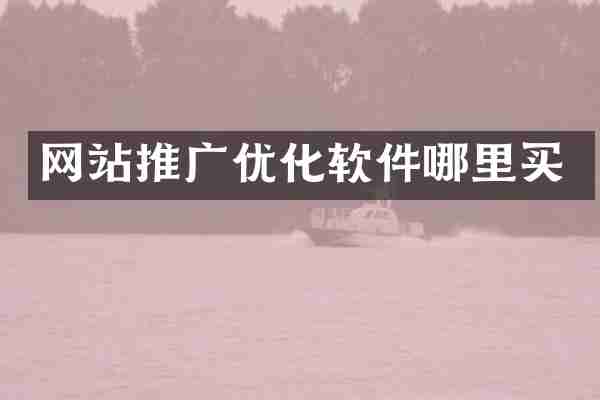 网站推广优化软件哪里买