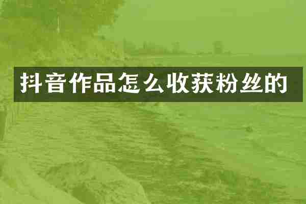 抖音作品怎么收获粉丝的