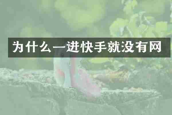 为什么一进快手就没有网