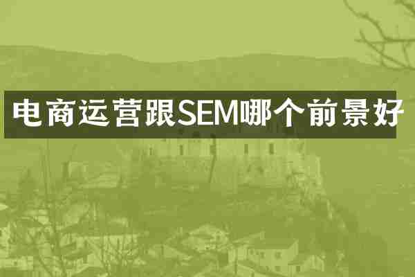 电商运营跟SEM哪个前景好