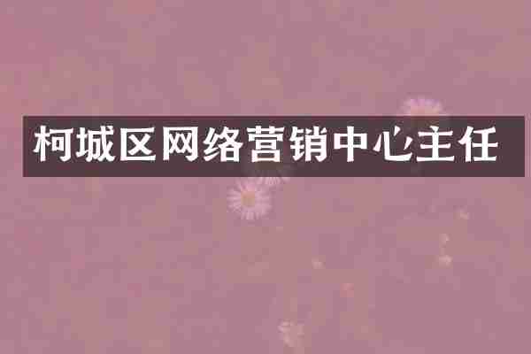 柯城区网络营销中心主任