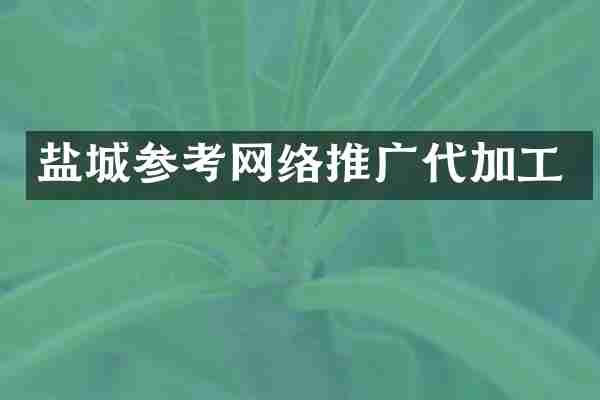 盐城参考网络推广代加工