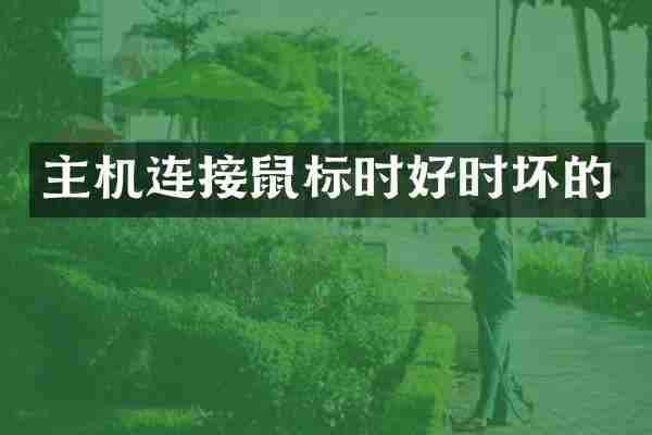 主机连接鼠标时好时坏的