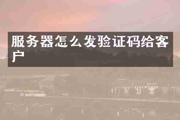 服务器怎么发验证码给客户