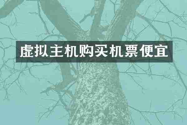虚拟主机购买机票便宜