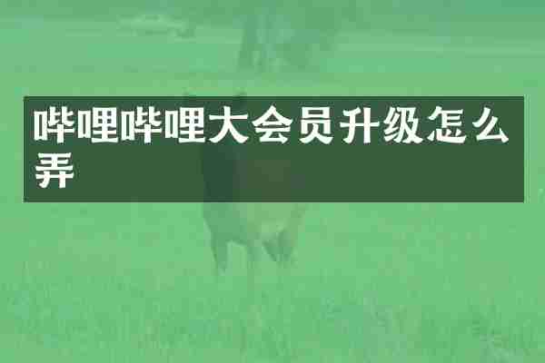 哔哩哔哩大会员升级怎么弄