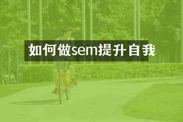 如何做sem提升自我