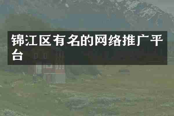锦江区有名的网络推广平台