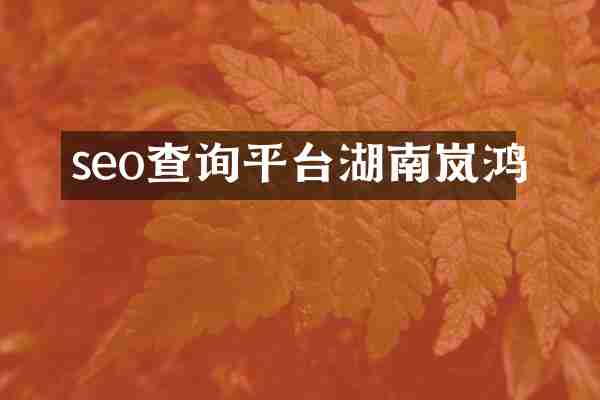 seo查询平台湖南岚鸿