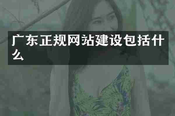 广东正规网站建设包括什么