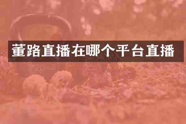 董路直播在哪个平台直播