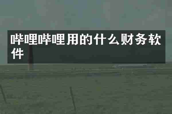 哔哩哔哩用的什么财务软件