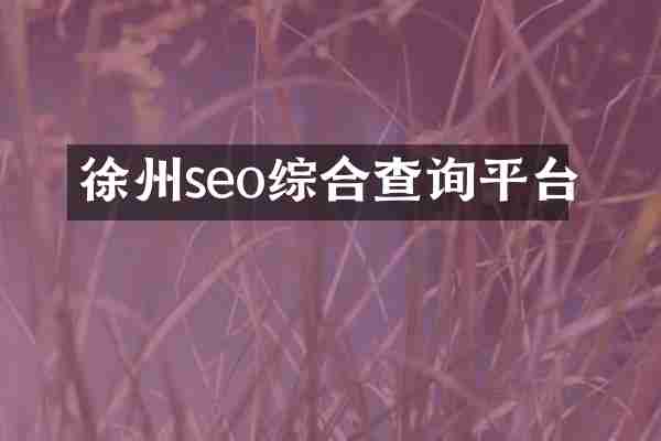 徐州seo综合查询平台