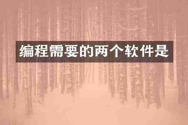 编程需要的两个软件是