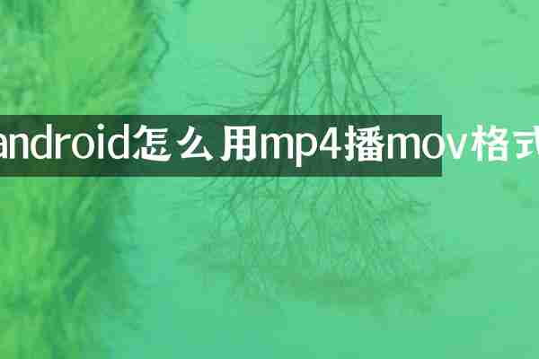 android怎么用mp4播mov格式