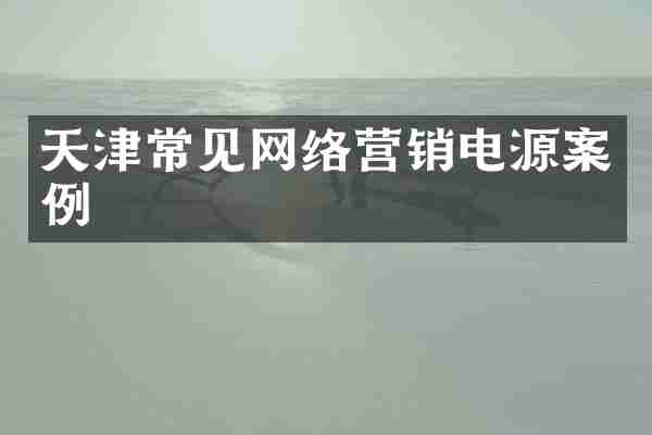 天津常见网络营销电源案例