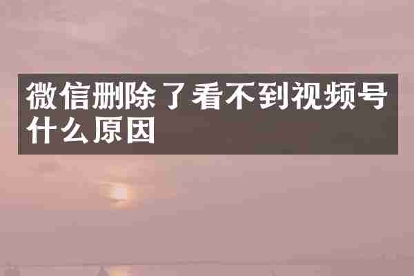 微信删除了看不到视频号什么原因